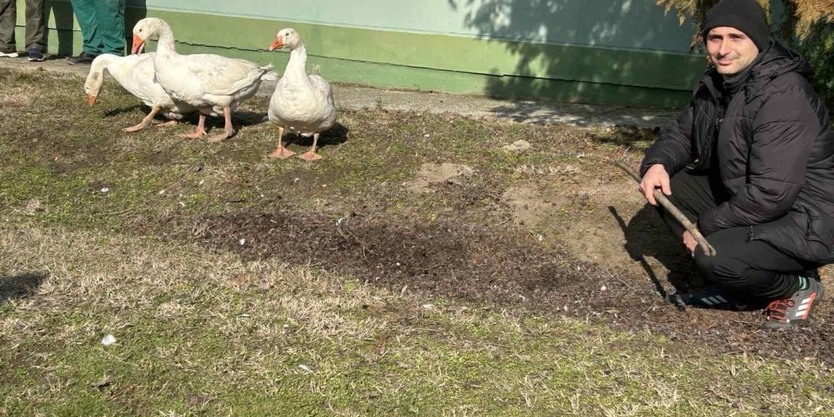 Kobra Svemirac sa svojom pratnjom za treninge