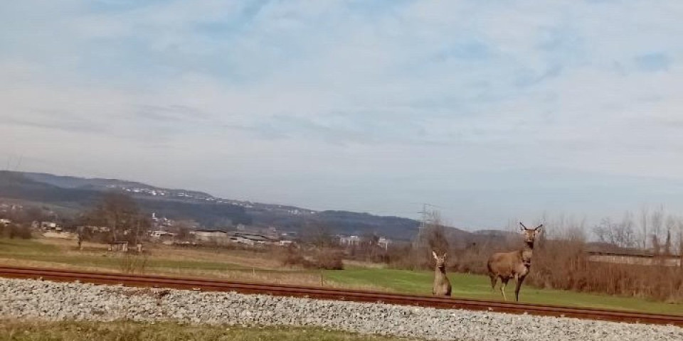 Mlade i lude: Nestvarna scena na pruzi pred Loznicom (FOTO)