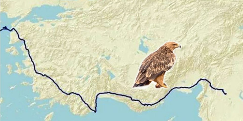 Naš Feliks zarobljen u Bejrutu: U toku je prikupljanje sredstava da se prebaci u Srbiju