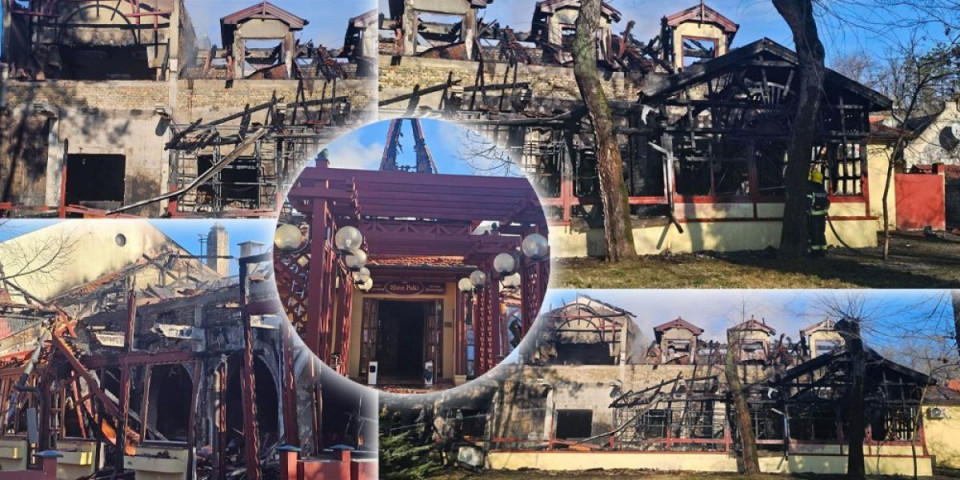 Od "Male Gostione" ostala samo kuhinja: Slike požara na Paliću lede krv u žilama (FOTO/VIDEO)