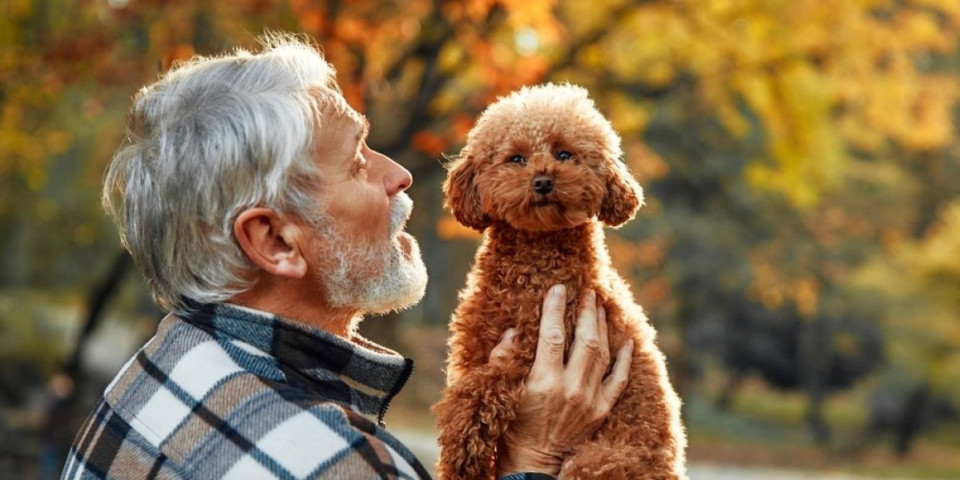 7 pasa idealnih za penzionere: Vraćaju osmeh na lice i donose sreću u dom (FOTO)