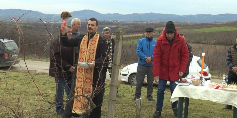 Vinogradari proslavili Svetog Trifuna: Na ovaj dan vidi se da li će godina biti rodna, evo kako