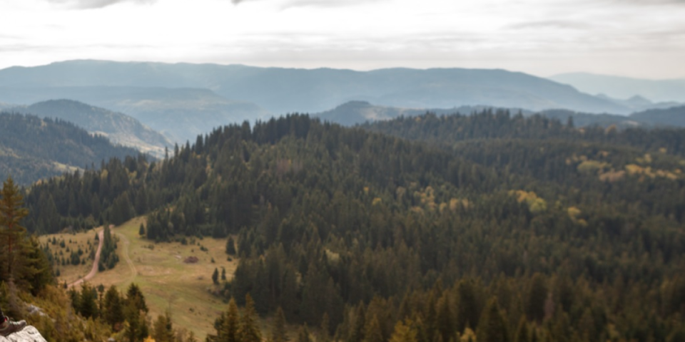 Ranko sa Zlatara spava skoro 20 dana i ne budi se: Čudo prirode