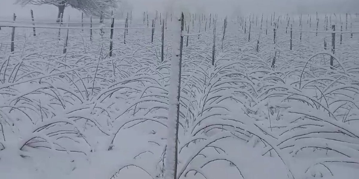 Sneg okovao Ivanjicu