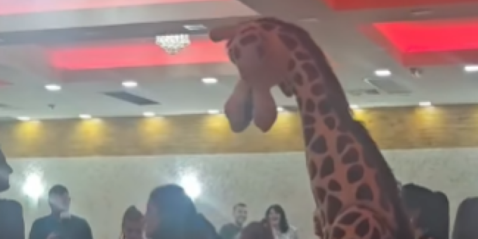 Ovo svet još nije video: Žirafa napravila haos na veselju - Srbi u šoku (VIDEO)