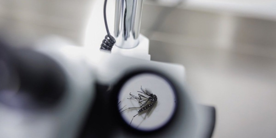 Popaljeni alarmi: Smrtonosni virus se širi neviđenom brzinom, Evropa na udaru