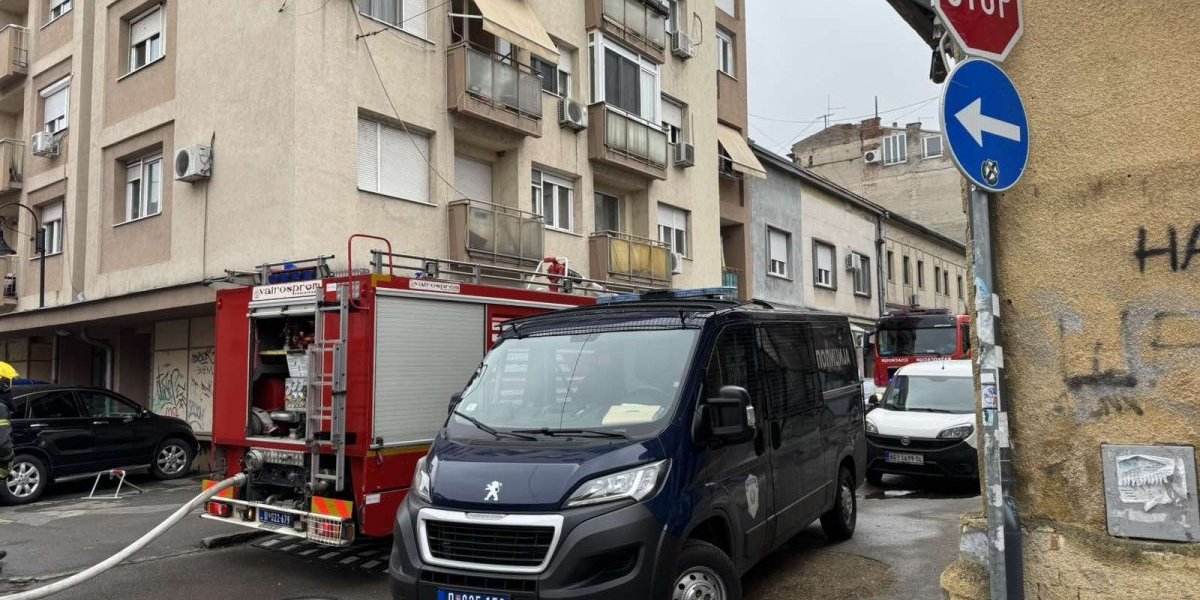 Slike nakon požara u Zemunu