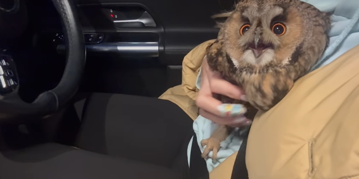 Bojana Ristivojević