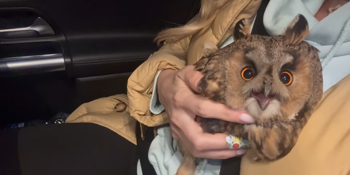 Bojana Ristivojević