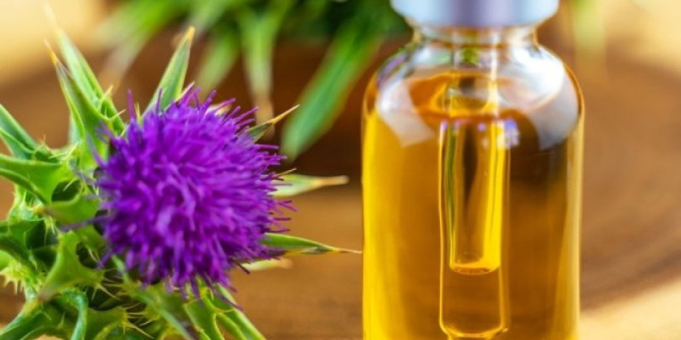 Eliksir koji regeneriše masnu u alkoholnu jetru: Semenke ove biljke suvo su zlato