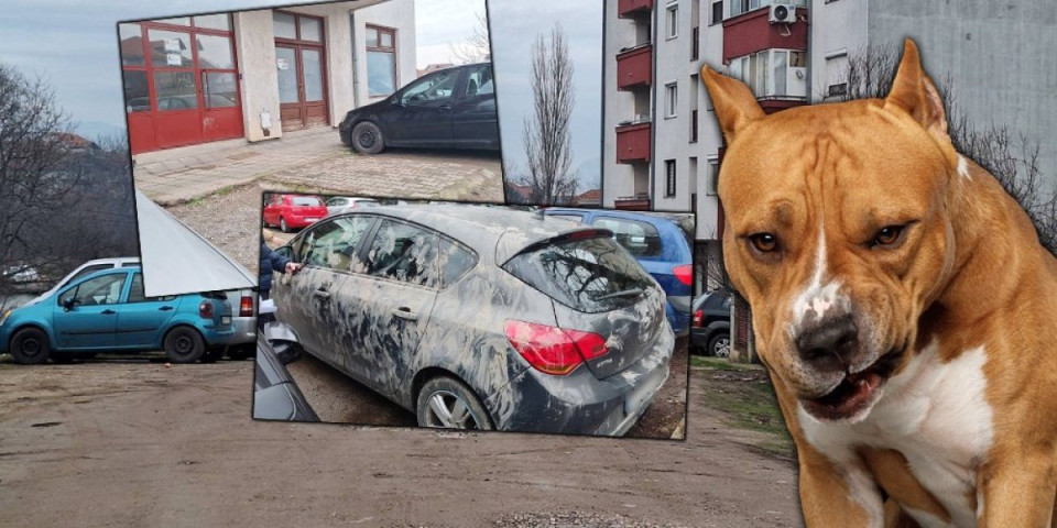 Jezivi detalji horora u Nišu: Staford krvnički kidao mladića (FOTO)