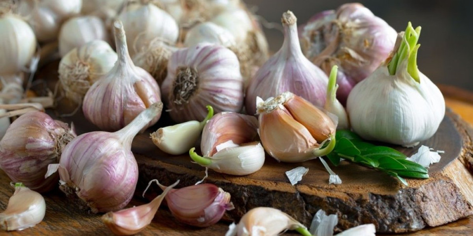 Pojeli ste proklijali beli luk? Mnogi misle da je otrov - evo šta se događa u vašem telu