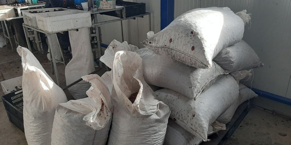 Za ovaj sezonski posao može da se zaradi 5.000 na dan: Nije naporno, a radi se u toplom