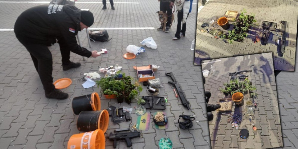 Marihuana u saksijama, arsenal oružja, zlato...: Uhapšeni Česi u Srbiji (FOTO)