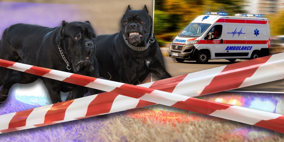 Čuo se vrisak, ležala je u lokvi krvi: Komšije gledale kako Beograđanku kidaju psi u dvorištu - Policija odmah ustrelila zveri