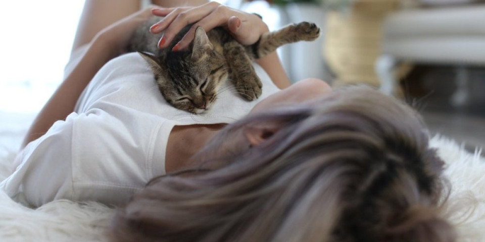 Kada mačka legne na vas to znači samo jedno: Ovo je razlog koji sigurno niste znali