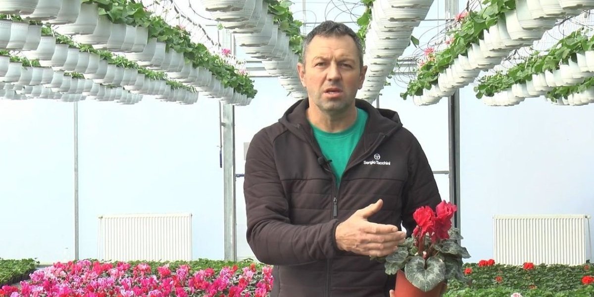 Nenad Glišić, cvećar iz sela Šume kod Topole 