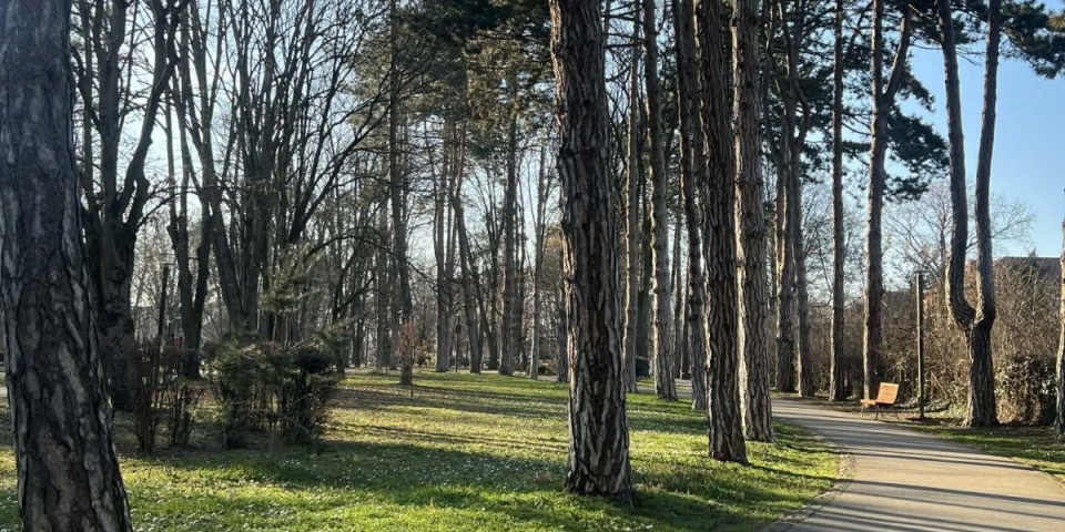 Dva najlepša parka u centru Čačka konačno dobijaju imena