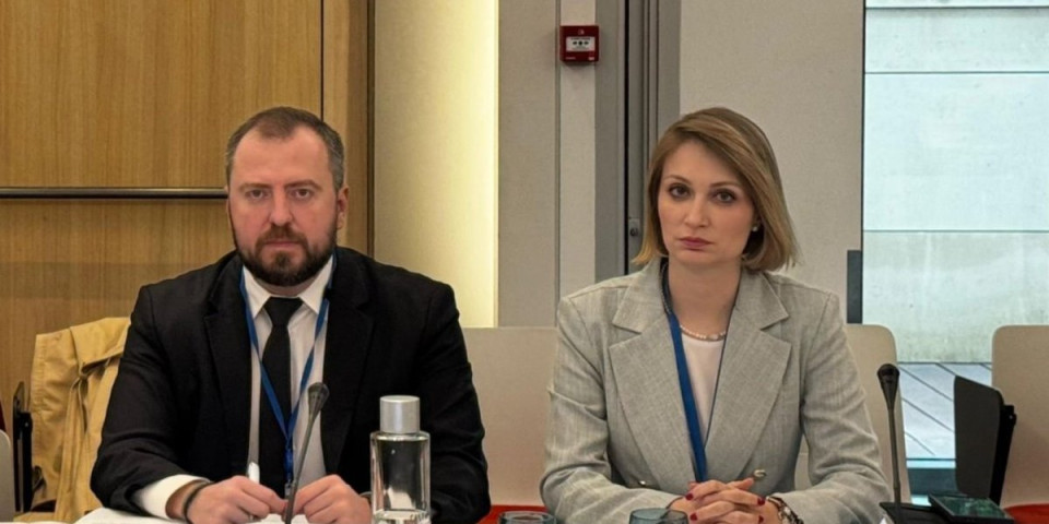 Biljana Pantić i Aleksandar Mirković: Podrška zakonima protiv govora mržnje i nasilja prema političarima