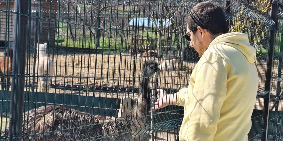 Niški zoo kutak dobio neočekivane goste - Među njima je Dragan, evo odakle je stigao