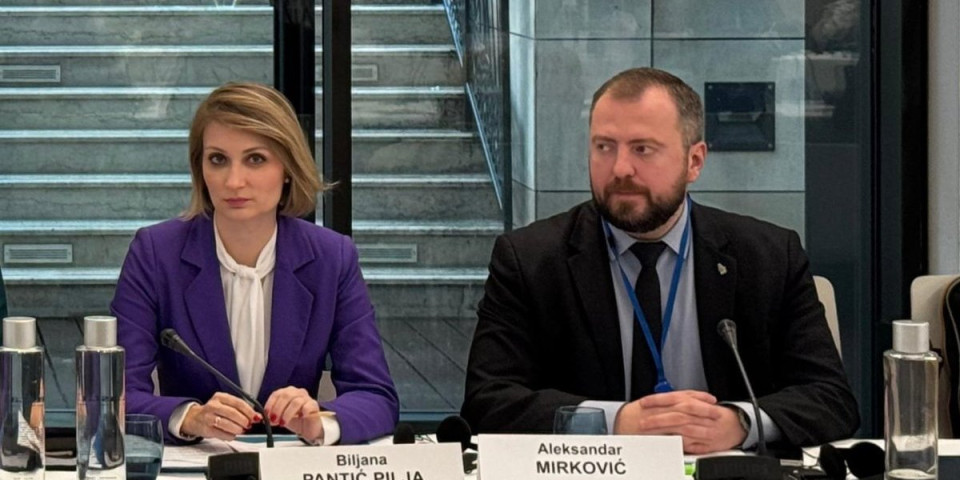 Srpska delegacija u Savetu Evrope: Otvorili ste Pandorinu kutiju priznanjem lažne države Kosovo