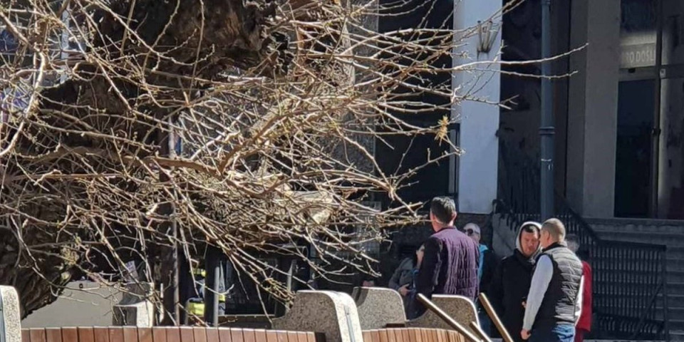 Incident u Smederevu! Zapaljen Karađorđev dud, vatrogasci sprečili teže posledice