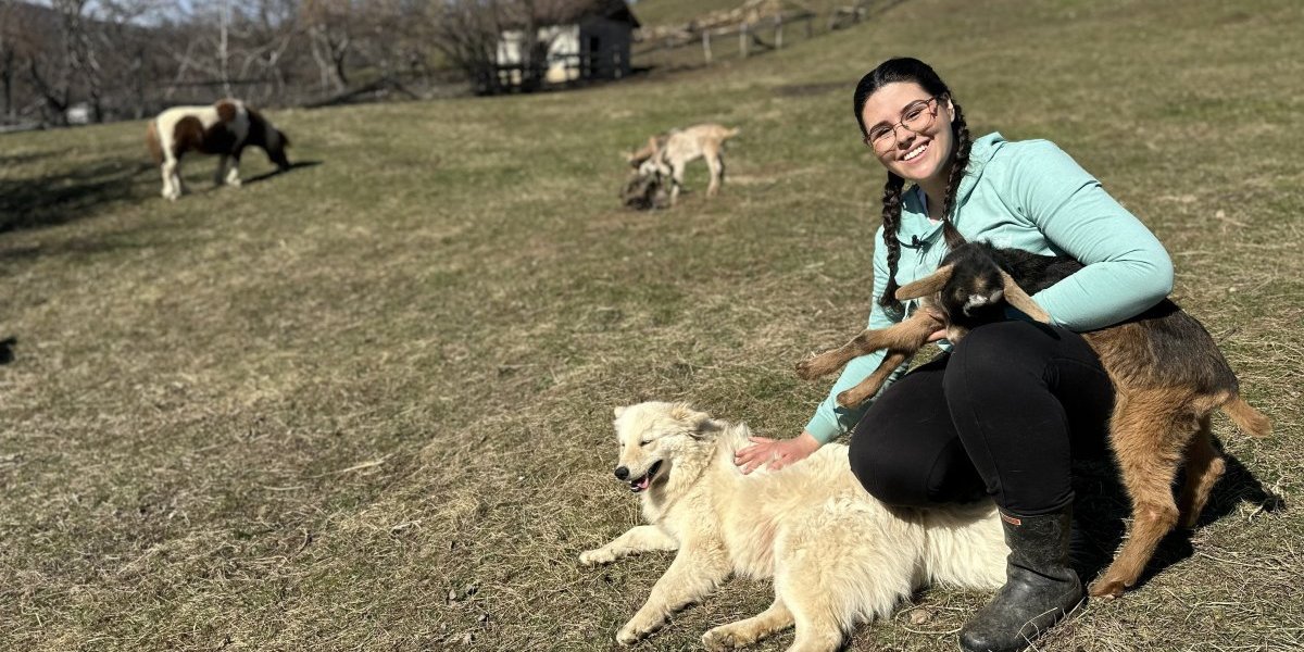 Pas Mlađo im pomaže 