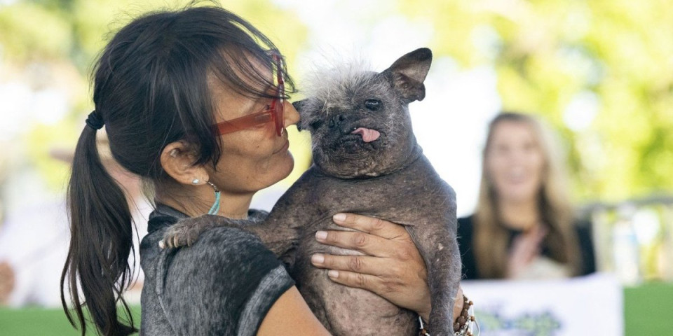 Najružniji pas na svetu: Od pogleda na njega bole oči, a iza svega se krije tužna priča (FOTO)