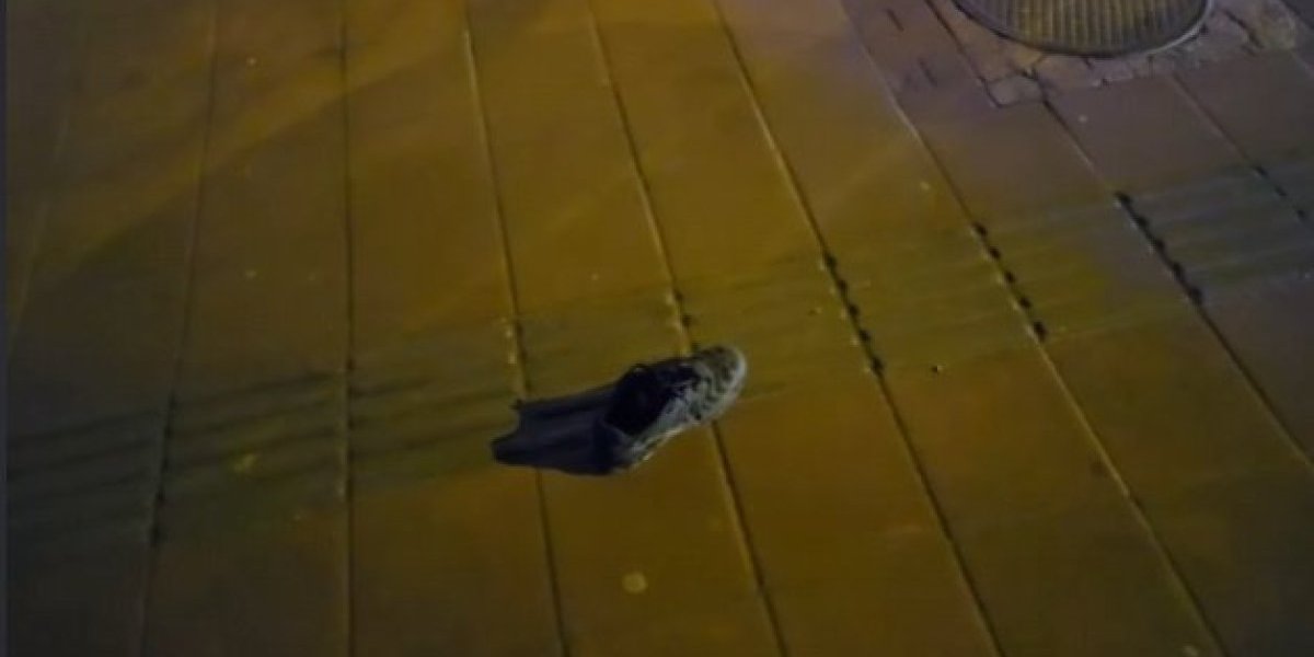 nesreća u Novom Sadu