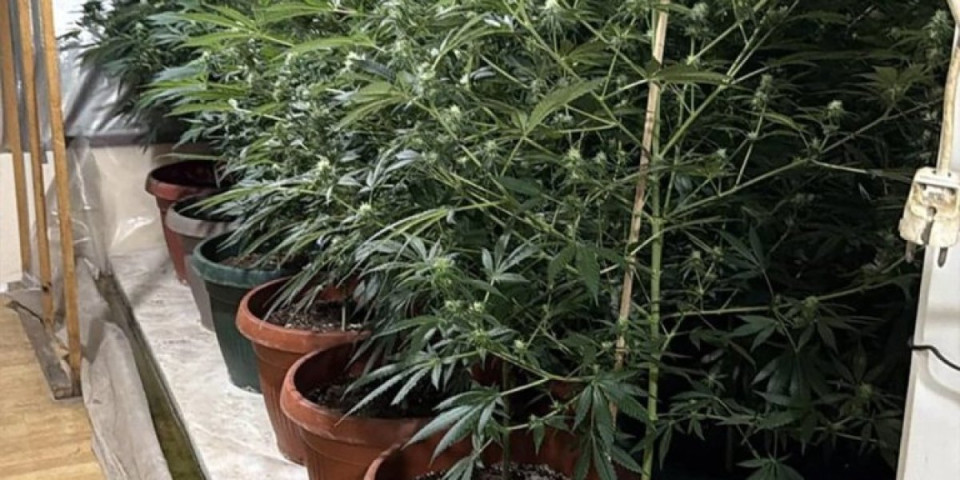 Ovako je razbijena laboratorija: Objavljen snimak spektakularne akcije u Subotici (VIDEO)