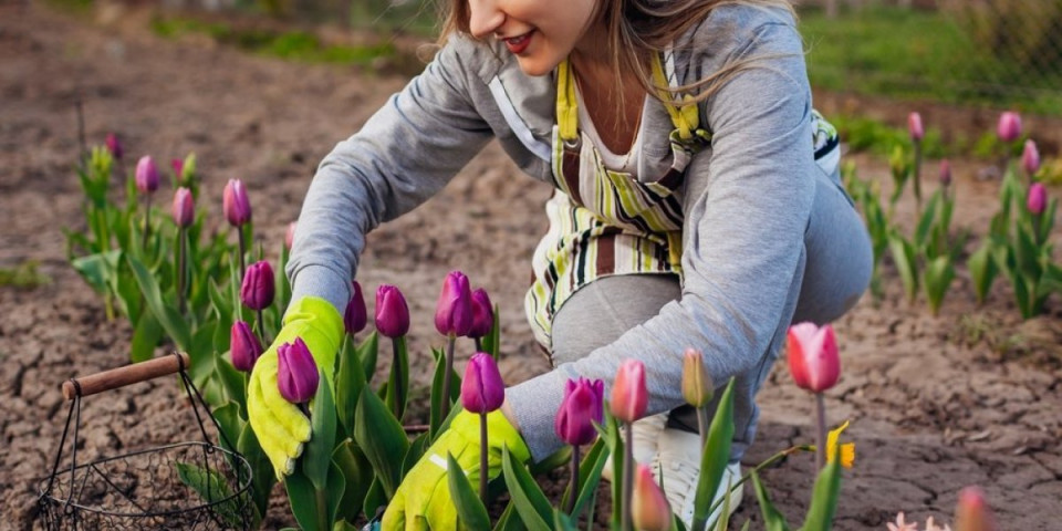 Sređivanje vrta u martu: 6 baštovanskih zadataka koje morate završiti pre kraja meseca