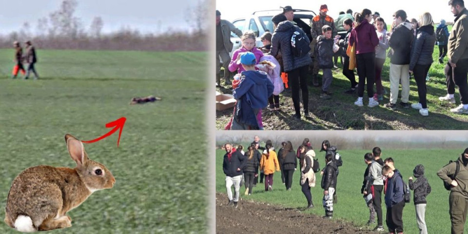 Ne broje se samo sove, već i zečevi! Ovaj banatski grad je itekako specifičan (FOTO)