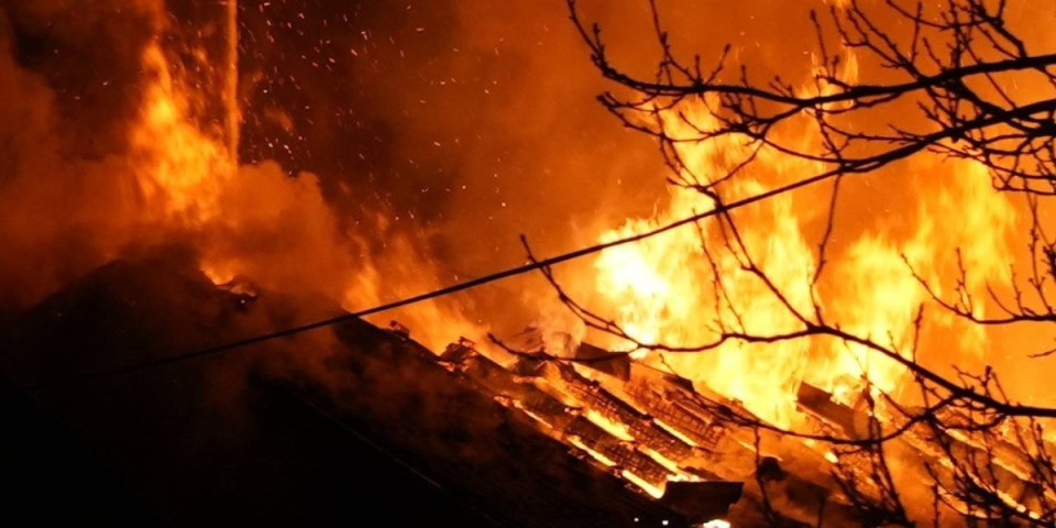 Ogroman poža u Novom Sadu: Vatrogasci sprečavaju da se proširi na kuće (FOTO/VIDEO)