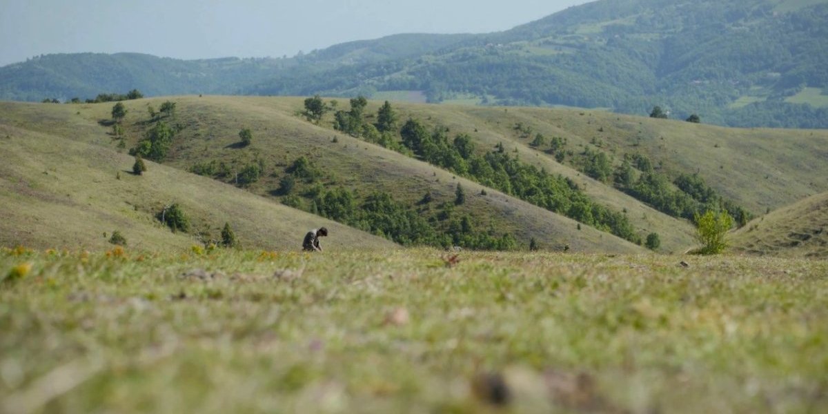 Metju Meknalti u filmu "Žetva"