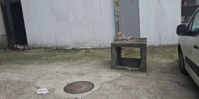 Telo Stele Savić, pronađeno je juče u otvoru za ventilaciju stambene zgrade na Vračaru.