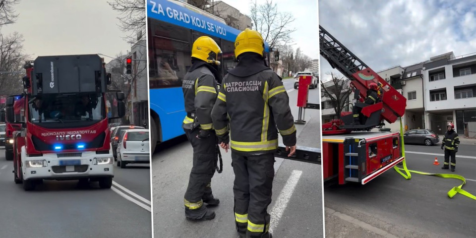 Požar u Novom Sadu: Zapalila se kuhinja u stanu - vatrogasci hitno reagovali (VIDEO)