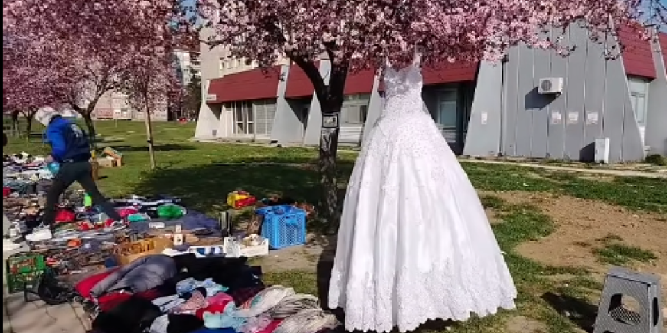 Filmska scena u kragujevačkom naselju Aerodrom (VIDEO)