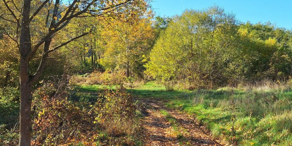 I lekari u šoku: Pazite, vreba opasnost iz trave!