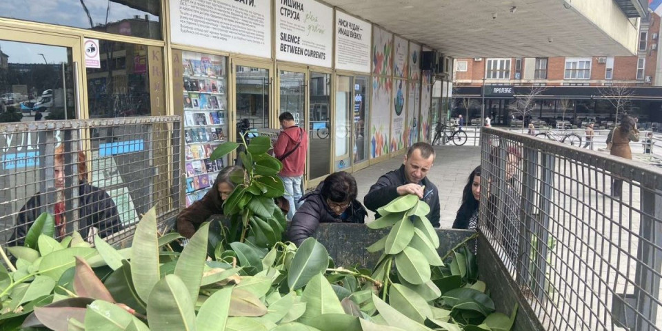 Džinovski primerak: Žene opet napravile pometnju u Čačku (VIDEO)