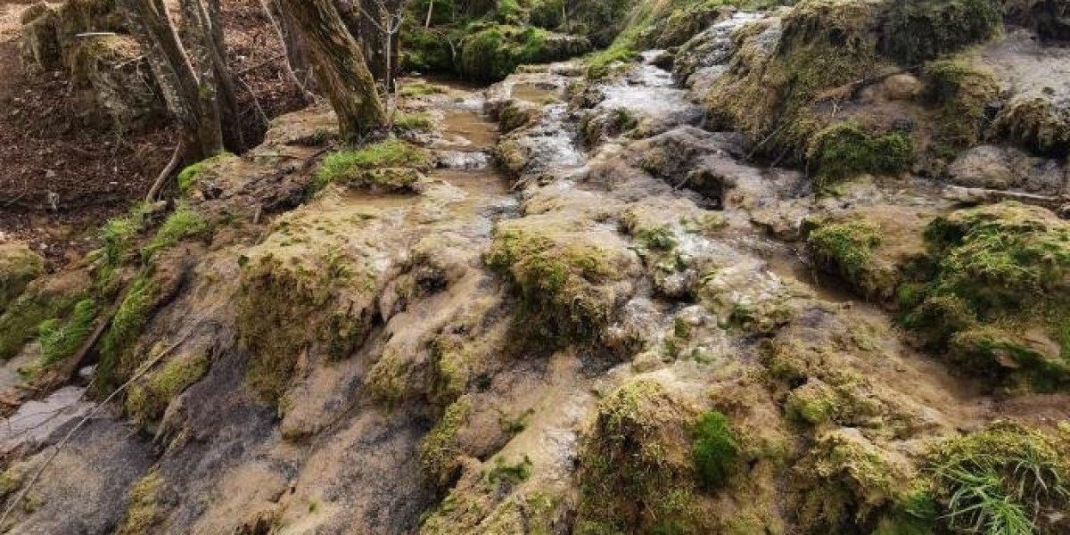 Kraj je bogat sremušem