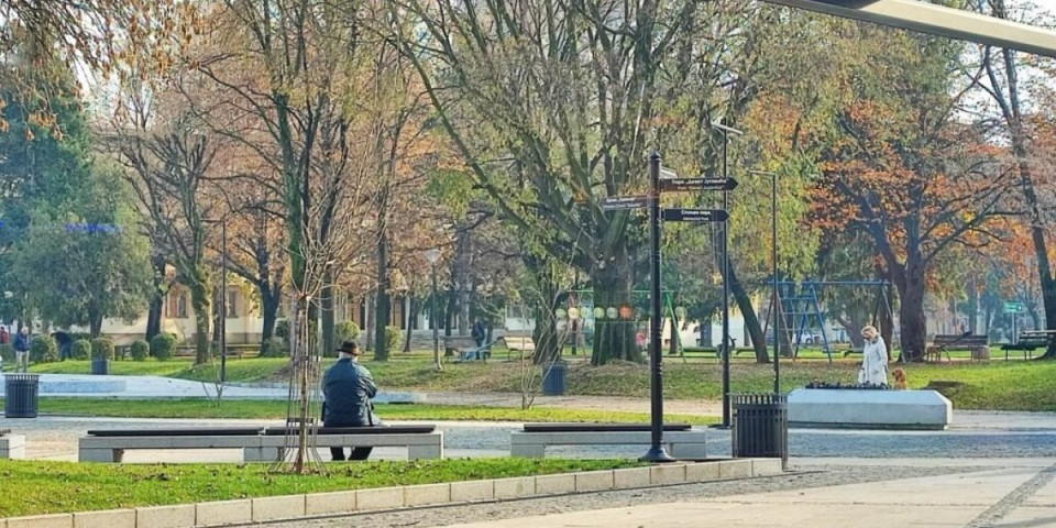 Iznenađenje: Cvetalo drvo s Himalaja na gradskom trgu u Leskovcu