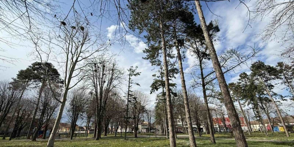 Vrane im dojadile: Onda su rešili da ih "prevare" (VIDEO)