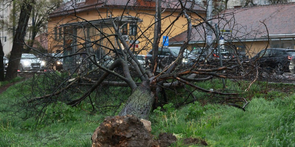 Nezapamćeno nevreme pogodilo Hrvatsku: Orkanski udari vetra napravili haos! (FOTO/VIDEO)