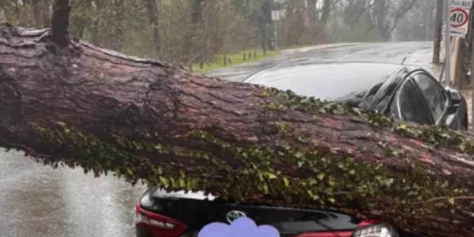 Strahota u Hrvatskoj: Nevreme uništilo sve - Roditelji sa bebom u naručju bežali kroz šumu