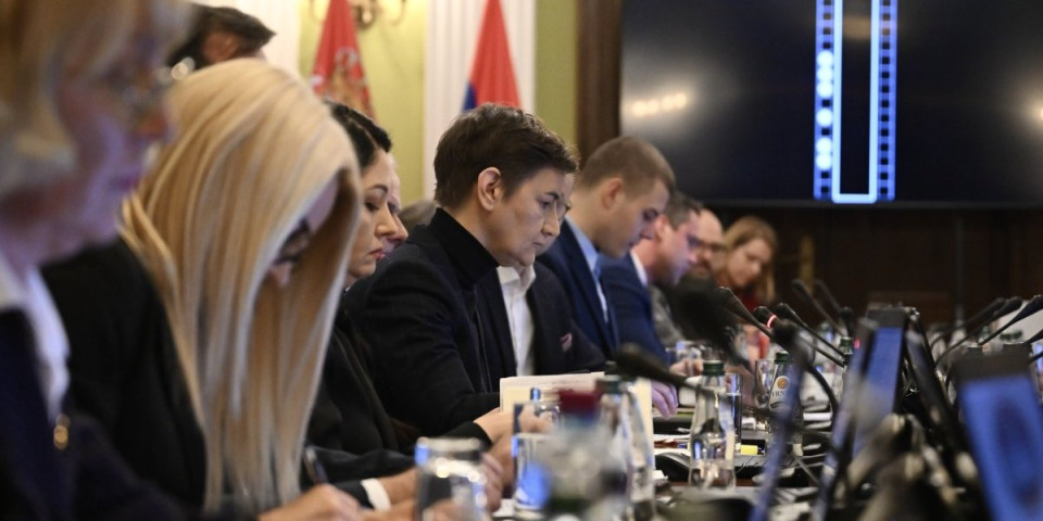 Ana Brnabić, kao međunarodni sekretar SNS-a: Prijavila nasilje svima u svetu!