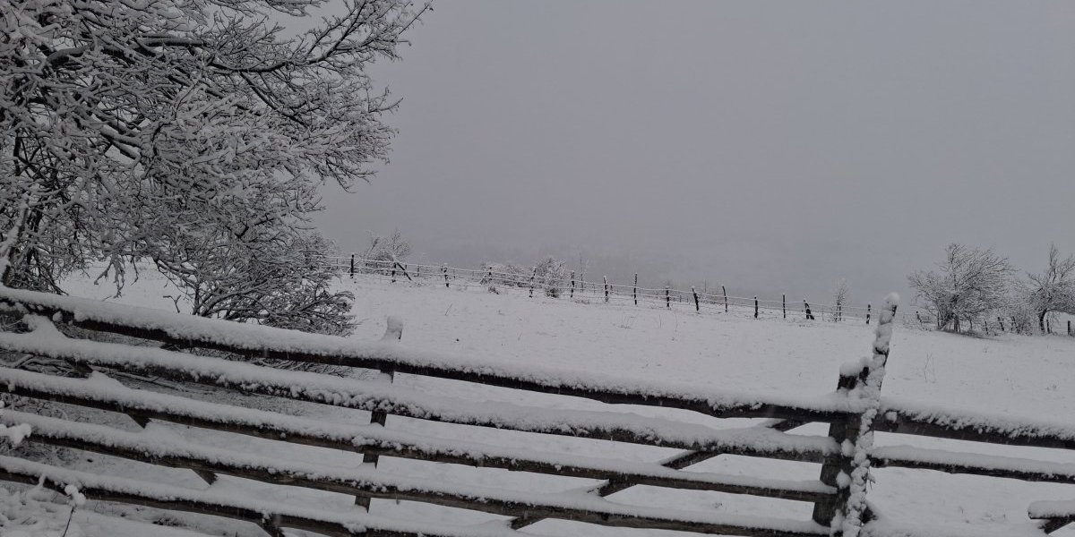 Zavejana Tara u martu