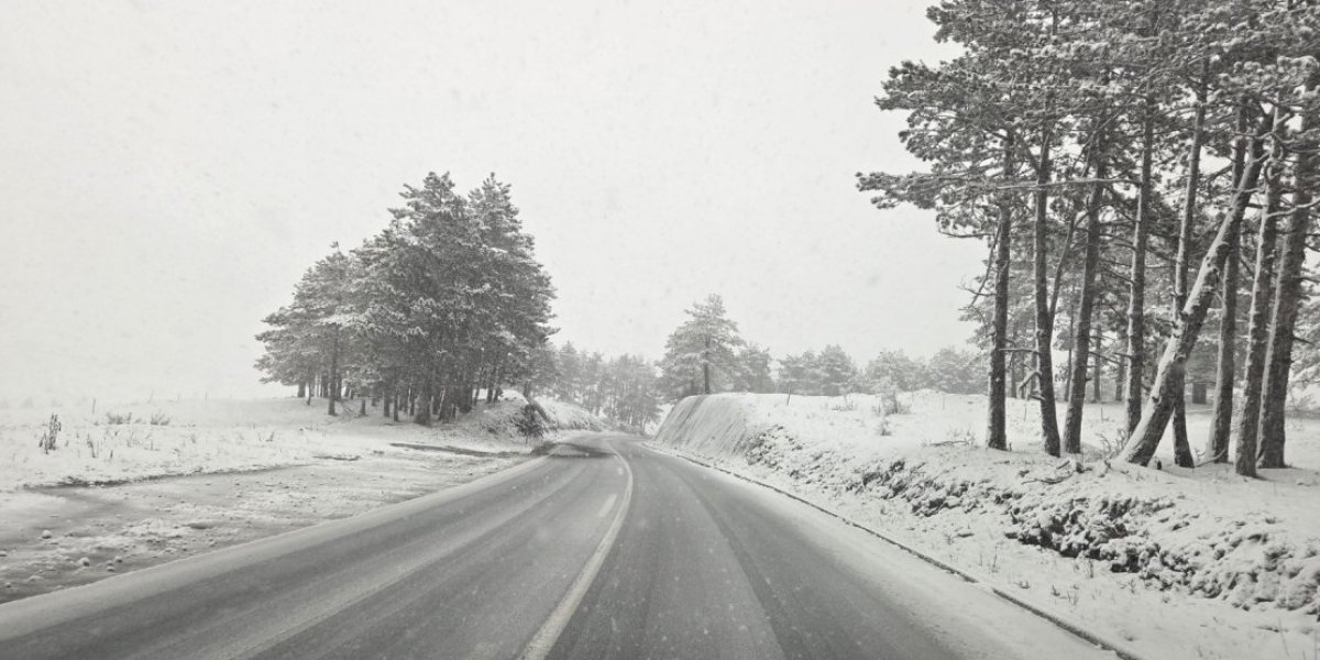 Zavejana Tara u martu