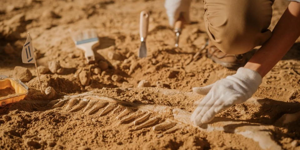 Pronađen skelet u lancima: Metal oko vrata i udova - Evo na šta se sumnja