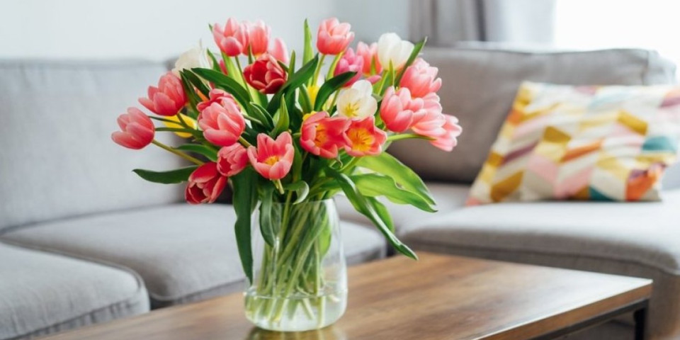 Tajna svežih lala: Besplatan trik zbog kog će trajati nedeljama u vazi - raskošne i prelepe