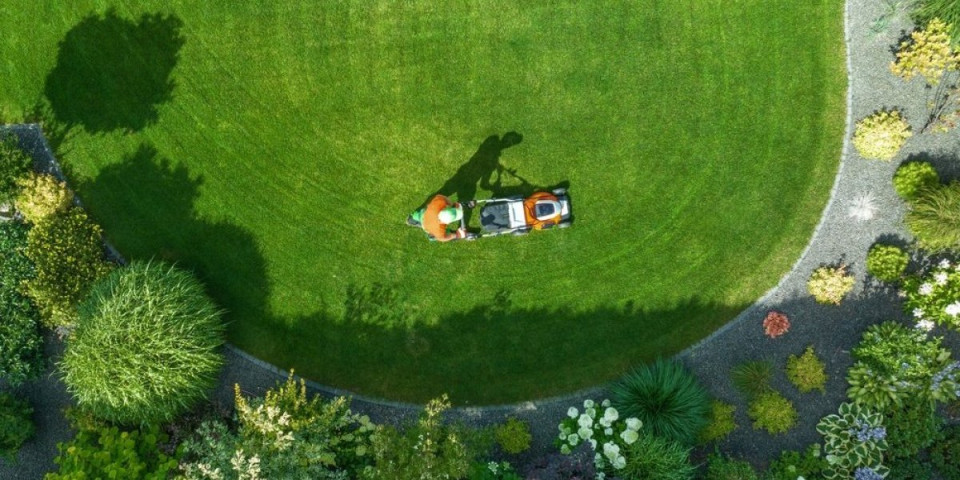 Travnjak kao iz bajke: Poprskajte samo ovaj prah i biće gušći nego ikada